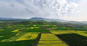 اولویت سازمان امور اراضی در سال جدید چیست؟