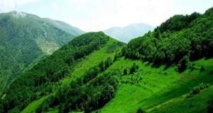 حفاظت از عرصه‌های منابع طبیعی به جوامع محلی واگذار شود