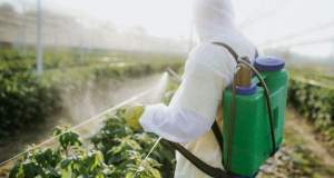 ۱۲ درصد سموم مصرفی کشور پرخطر است