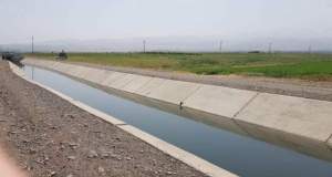 انتقاد اتاق اصناف کشاورزی از قطعی برق چاه‌های کشاورزی/ برداشت آب بر اساس نیاز آبی مدیریت شود