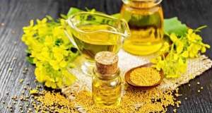 چرا امسال کلزا کمتر کشت شد؟