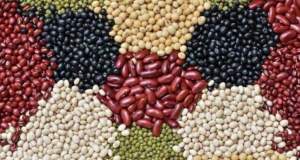 پیشنهاد نایب‌رئیس کمیسیون کشاورزی برای کاهش قیمت حبوبات