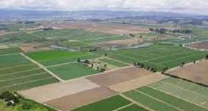 کشاورز برای افزایش تولید پای کار آمد، وزارت نیرو نه