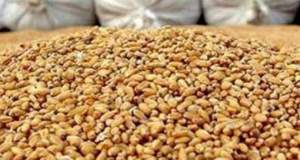 تفحص از واردات نهاده‌های دامی در مجلس کلید خورد