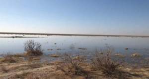 واکنش به ادعای «آلودگی هوای تهران به آرسنیک و سیانور»