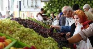 قیمت گذاری سلیقه ای عامل اصلی اختلاف قیمت میوه در مغازه ها/ گرانی میوه منطقی نیست