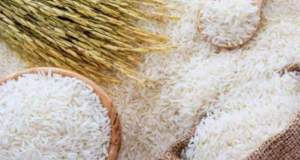 ماجرای نوسانات اخیر بازار برنج چه بود؟