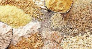 افزایش قیمت نهاده‌های دامی بر بازار گوشت چه اثری دارد؟