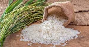 راهکار تنظیم بازار برنج در کشور چیست؟