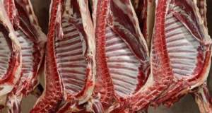 کمبود گوشت‌های وارداتی در بازار پایان می‌یابد؛ توزیع ۲۰۰ تن در روز