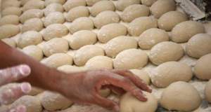 تهران نانوایی عرضه‌کننده «نان کامل» ندارد / بیشترین سبوس‌گیری از نان بربری است