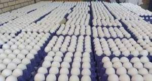 چرا شانه تخم‌مرغ به ۲۵۰ هزار تومان رسید؟