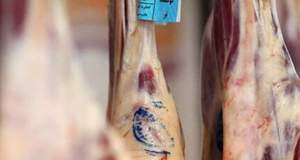 گوشت یخی جایگزین گوشت گرم دولتی شد