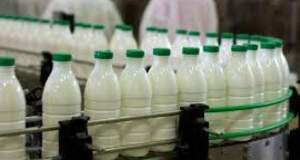 قیمت لبنیات در دو هفته گذشته دو بار افزایش یافت