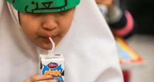 «شیر» تنها در مدارس ۴ استان توزیع شد/ توزیع در سراسر کشور منوط به پای کار آمدن شرکتهای لبنی