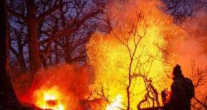 چرا یونسکو در مهار آتش هیرکانی به ایران کمک نکرد؟