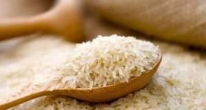 دلالان وارد چرخه خرید و جمع آوری برنج از کشاورزان شدند