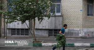 وزش باد شدید در تهران/ افزایش دما از جمعه