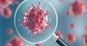 توضیح وزارت بهداشت درباره سویه «سیکادا» کرونا