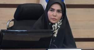 تأکید رئیس کمیسیون برنامه و بودجه بر انضباط مالی و تحقق درآمدهای مناطق