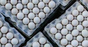 عرضه سیار تخم‌مرغ در البرز ممنوع است