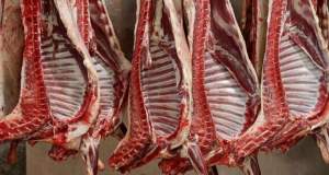 وعده کاهش قیمت گوشت در آستانه محرم/ افزایش عرضه در راه است