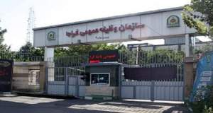 آخرین فرصت بهره مندی از معافیت سه فرزندی و بیشتر تا پایان شهریور
