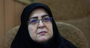مهاجرانی: در حملات اخیر به جنوب ایران بیش از ۳۰ غیرنظامی شهید شدند