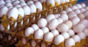 در بازار تخم مرغ چه می‌گذرد؟ / قیمت تخم مرغ افزایشی شد