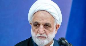 محسنی اژه‌ای: با شکست طرح کریدور جنوبی، نقشه شوم دشمن آمریکایی در نطفه خفه شد