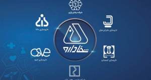 از افزایش 164 درصدی ارزش ریالی تولید تا افزایش 4.2 درصدی سهم ریالی بازار در هلدینگ شفادارو