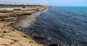 آلودگی نفتی همچنان گریبان‌گیر سواحل جنوبی کشور؛ تلاش‌ها برای پاکسازی ادامه دارد