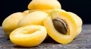 هشدار درباره مصرف هسته زردآلو؛ تلخی‌گیری به معنای بی‌خطر شدن نیست